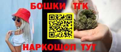 индика Краснознаменск
