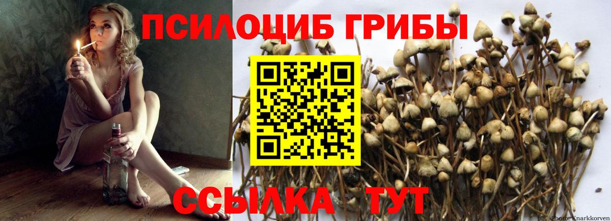 Галлюциногенные грибы Magic Shrooms  Вход с VPN  Ишим 